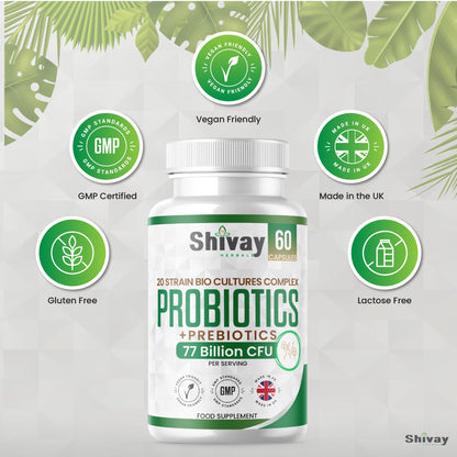 Shivay Herbals Probiotic & Prebiotic Complex - 77 Billion CFU - 20 Live Strains - 60 Vegan Capsules - 1 Month Supply - Made in the UK