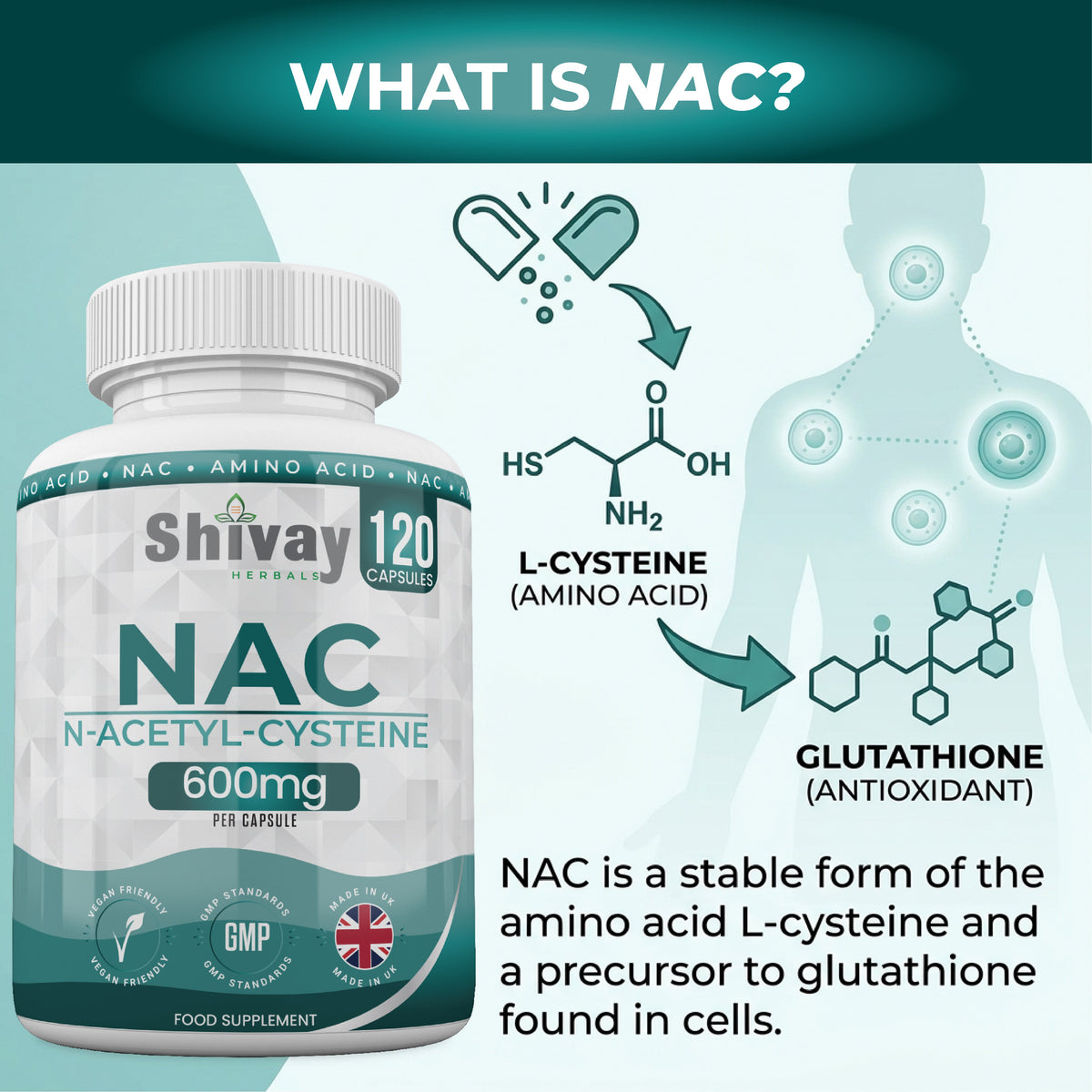 Shivay Herbals NAC N-Acetyl Cysteine 600mg - 120 Vegan Capsules - 4 Month Supply - Glutathione Precursor - Made in the UK