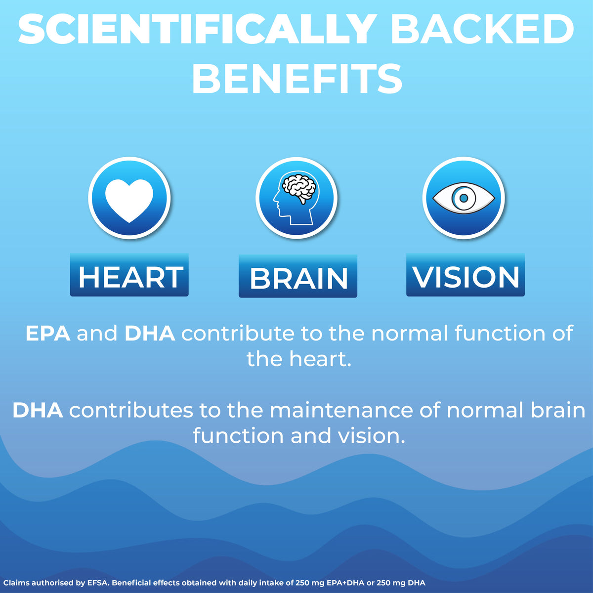 Shivay Herbals Omega 3 Fish Oil 2000mg - 660mg EPA & 440mg DHA per Serving - 120 Softgels - 2 Month Supply - Heart, Brain & Vision - Made in the UK