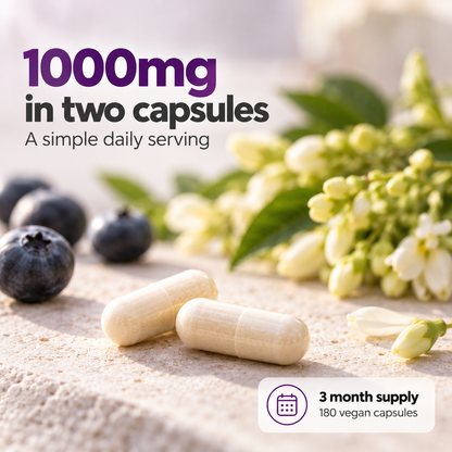 Shivay Herbals Quercetin 1000mg - Sophora Japonica Extract - 180 Vegan Capsules - 3 Month Supply - Natural Plant Flavonoid - Made in the UK