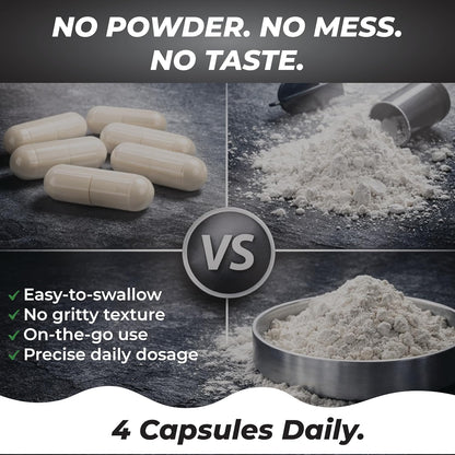 Creatine Monohydrate 240 Capsules - 3000mg per Serving
