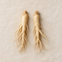 Korean Ginseng