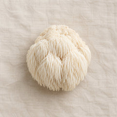 Lion's Mane