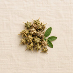 Tribulus Terrestris